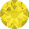 9ss Citrine Maxima